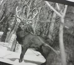 gokigen-120301 006.jpg