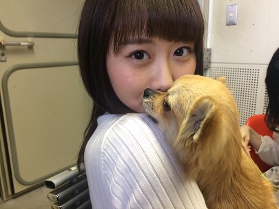 gatanee&chiwawa1.jpg