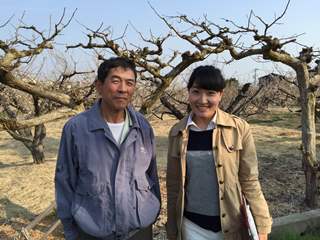 かめだ梅まつり