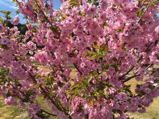 寺泊　いやしの郷