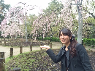 じゅんさい池公園