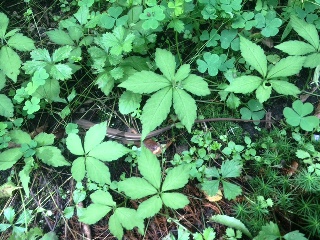 酒楽の里　３周年！