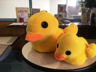 チョコレート風呂＆チョコレートパック