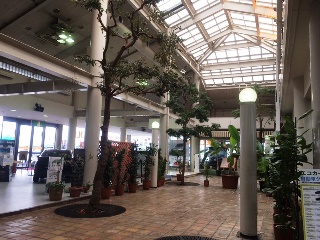 新潟トヨタ　長岡川崎店