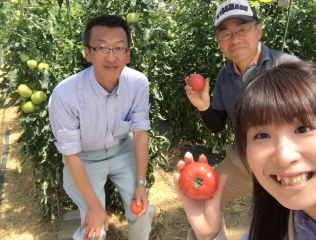 北区ごきげんトマト王国inにごりかわトマトハウス