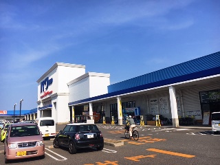 ニャンとも清潔トイレinコメリパワー河渡店