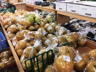 農家の直売所げんき村