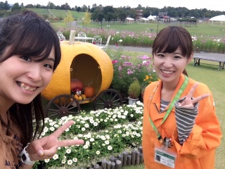 国営越後丘陵公園　コスモスまつり