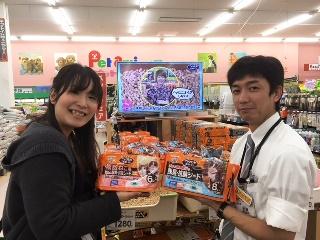 花王のニャンとも清潔トイレ成猫用スタートセット