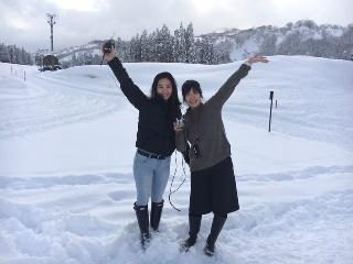 ロッテアライリゾート