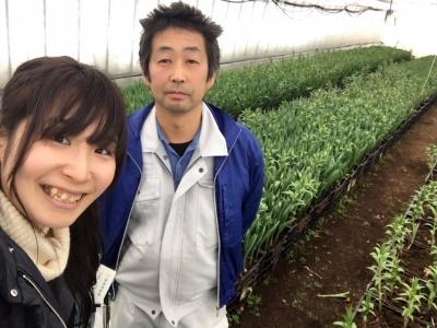 愛妻の日にチューリップを贈ろう！