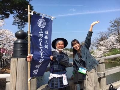 高田公園　桜満開！