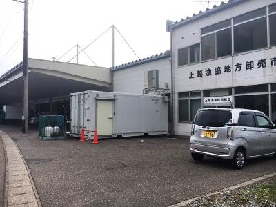 能生漁港の昼セリ