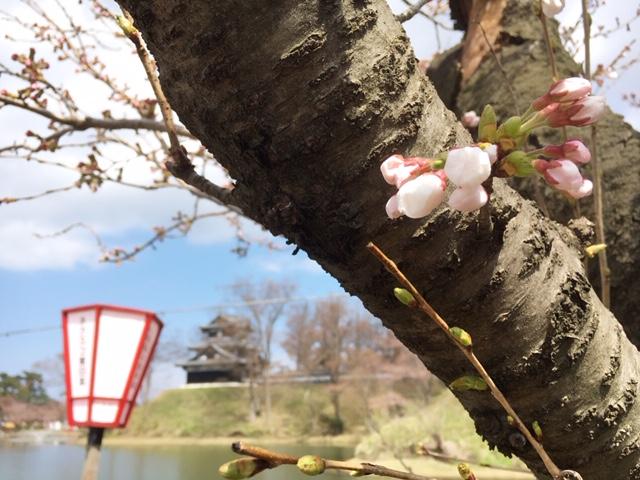 第９４回高田城百万人観桜会