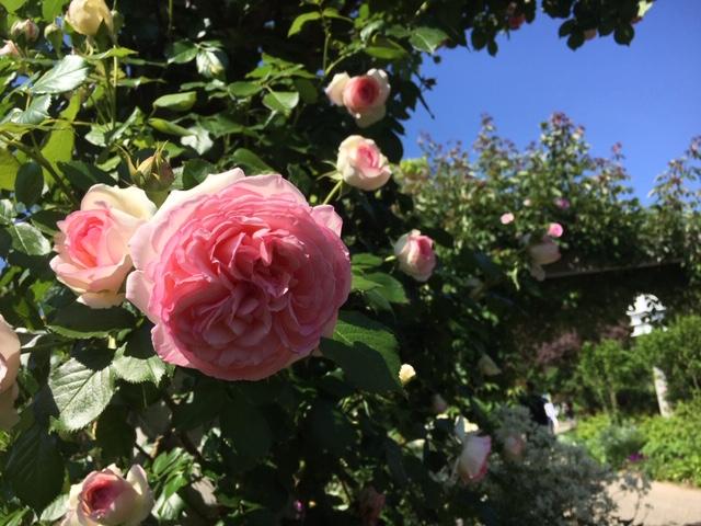 ホテルレアント