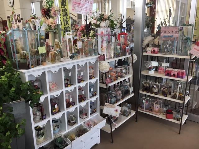 福宝燕三条店フラワーショップ花水木