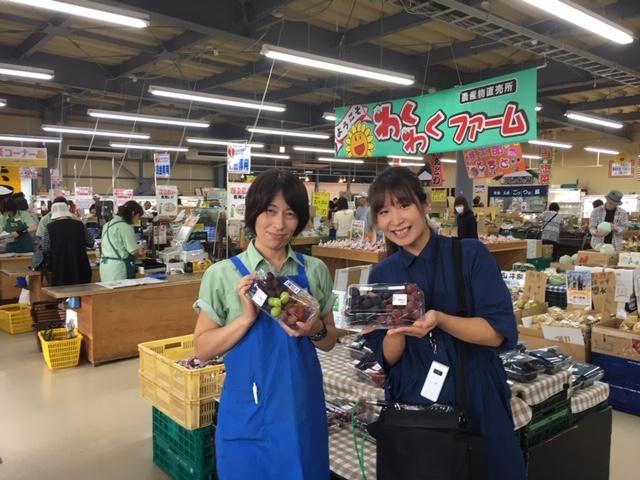 わくわくファーム豊栄店