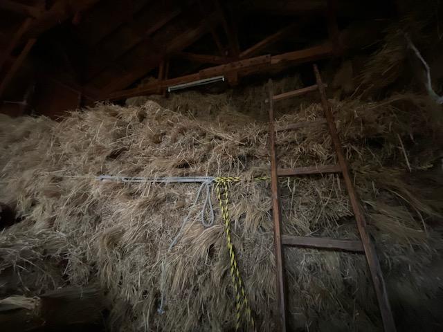 クリスマスプレゼント企画！