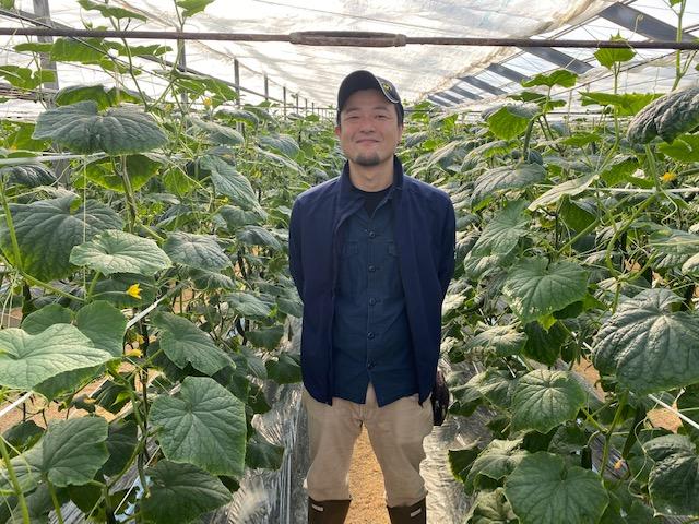 もとまちきゅうり