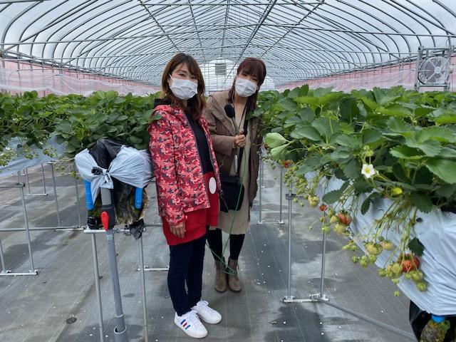 越後姫　JA北越後