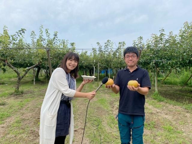 JAにいがた南蒲「新王」