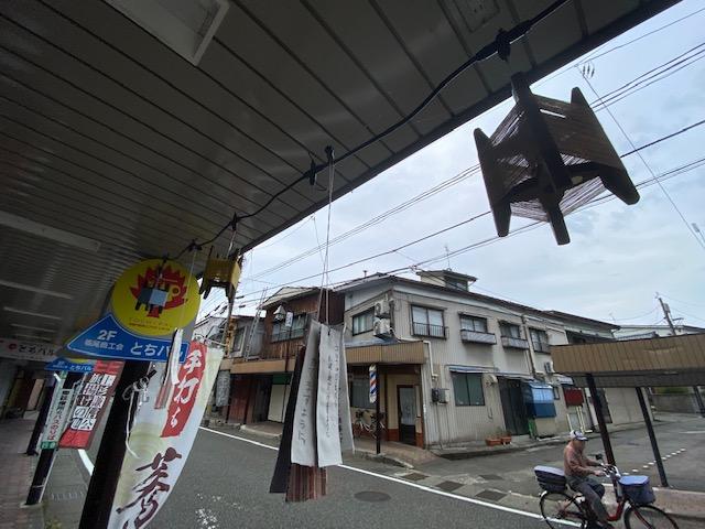 トチオノアカリ