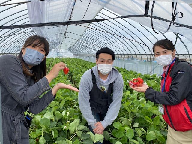 ＳＨＯＫＵＲＯの越後姫×キラキラマーケット