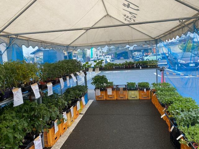 産直とよさかげんき村