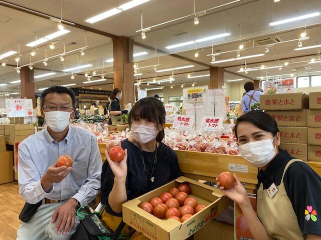 キラキラマーケット　豊栄トマト桃太郎！