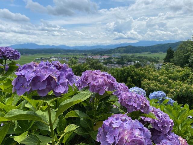 見附市　水道山・観音山公園