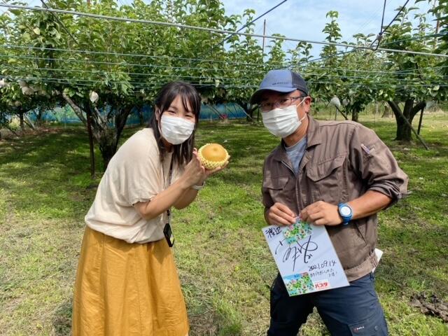 JA新潟みらい「あきづき」