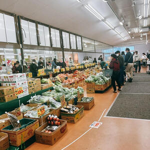 しみず屋　野菜売り場.jpg