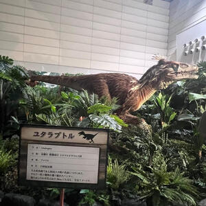 ジュラシック　ユタラプトル.jpg