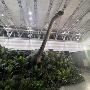 首の長い恐竜.jpg