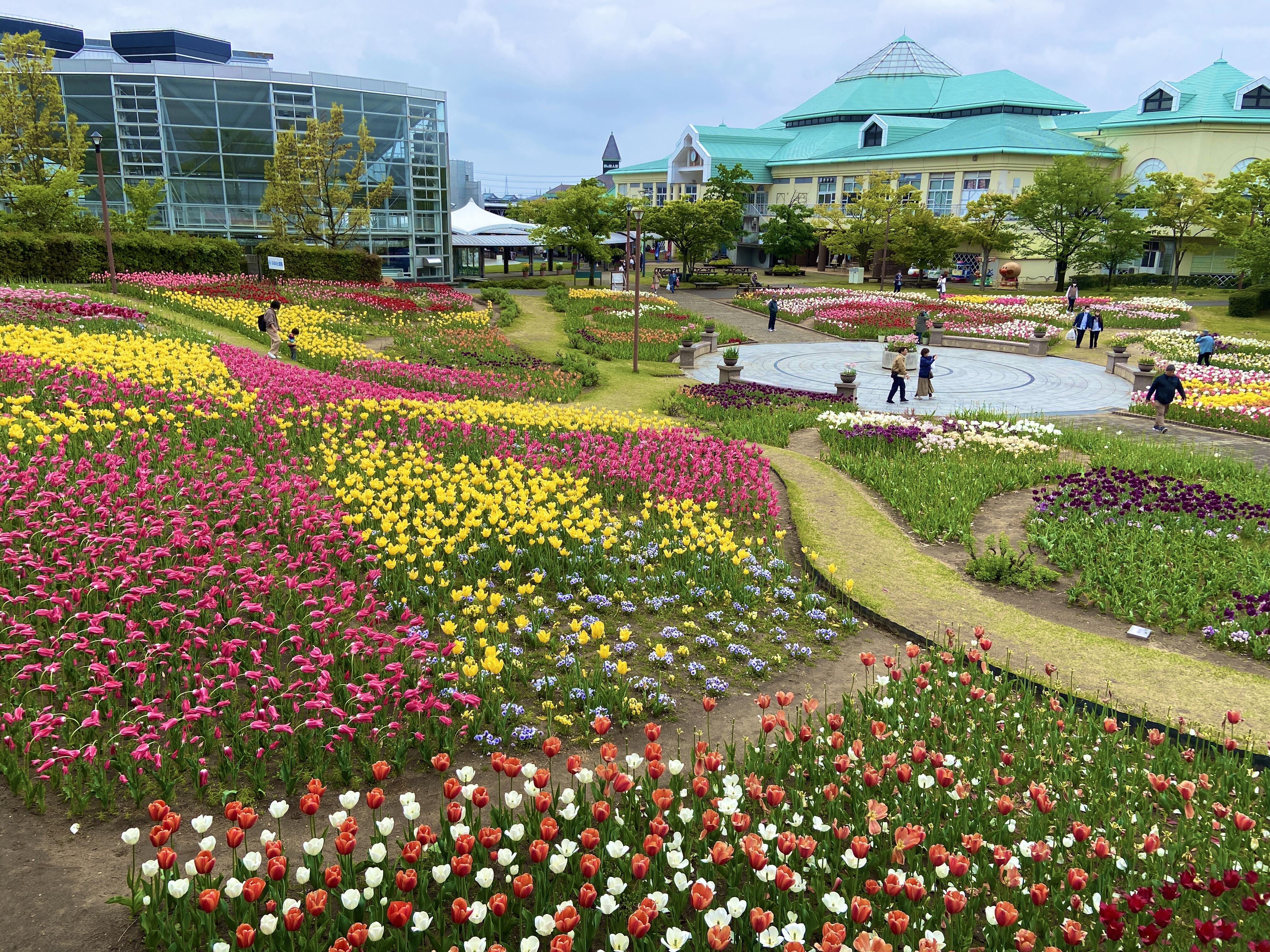 クジラだよ全員集合「ふるさと村鮮魚センターマリーン」