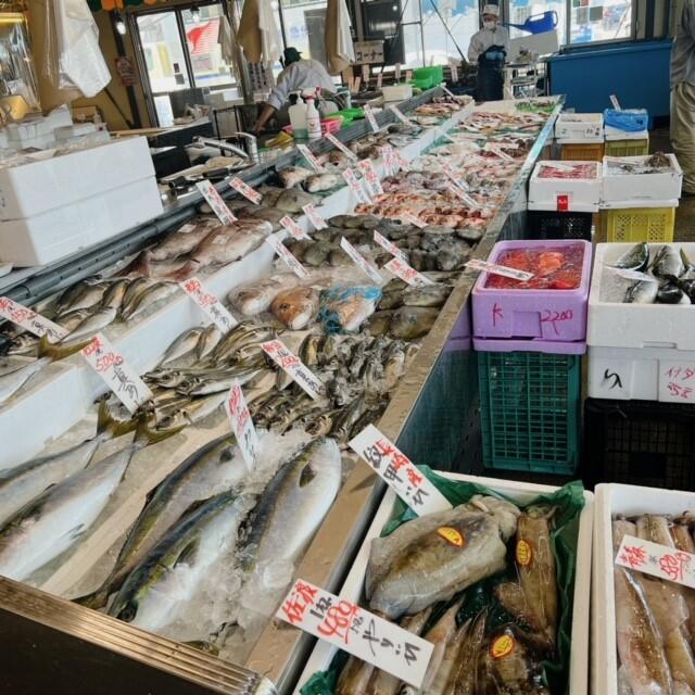 ＧＷは万代島鮮魚センターへ！