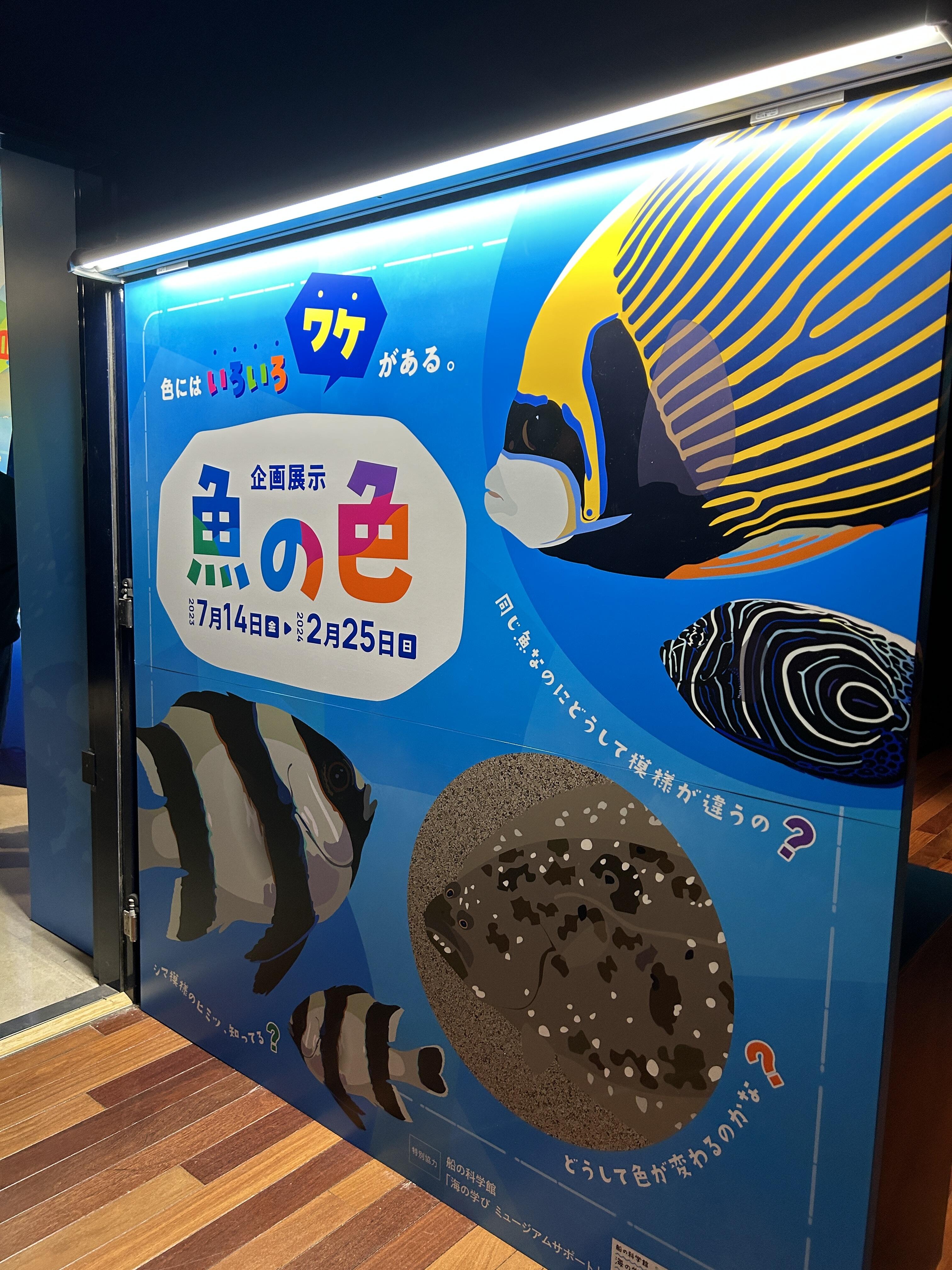 マリンピア日本海「魚の色展」