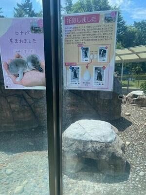 ペンギン５.jpg