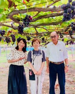 聖籠町特産ぶどう狩り　小林農園