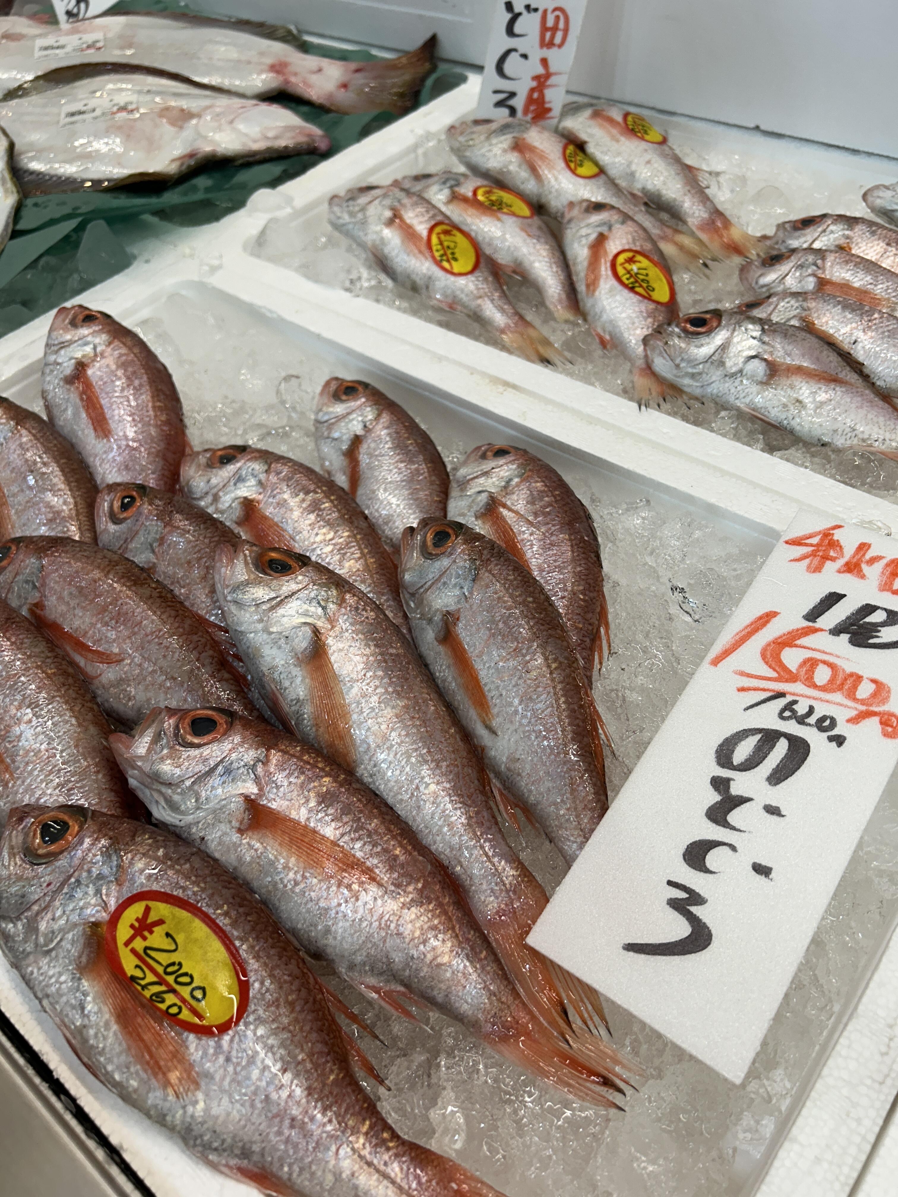 万代島鮮魚センター