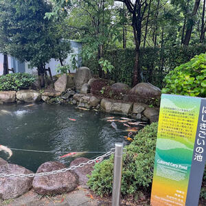 2025マリンピア 7.jpg