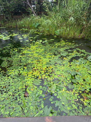 2025マリンピア ②.jpg