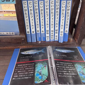 2025マリンピア 4.jpg