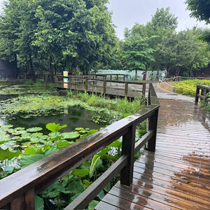 2025マリンピア 6.jpg