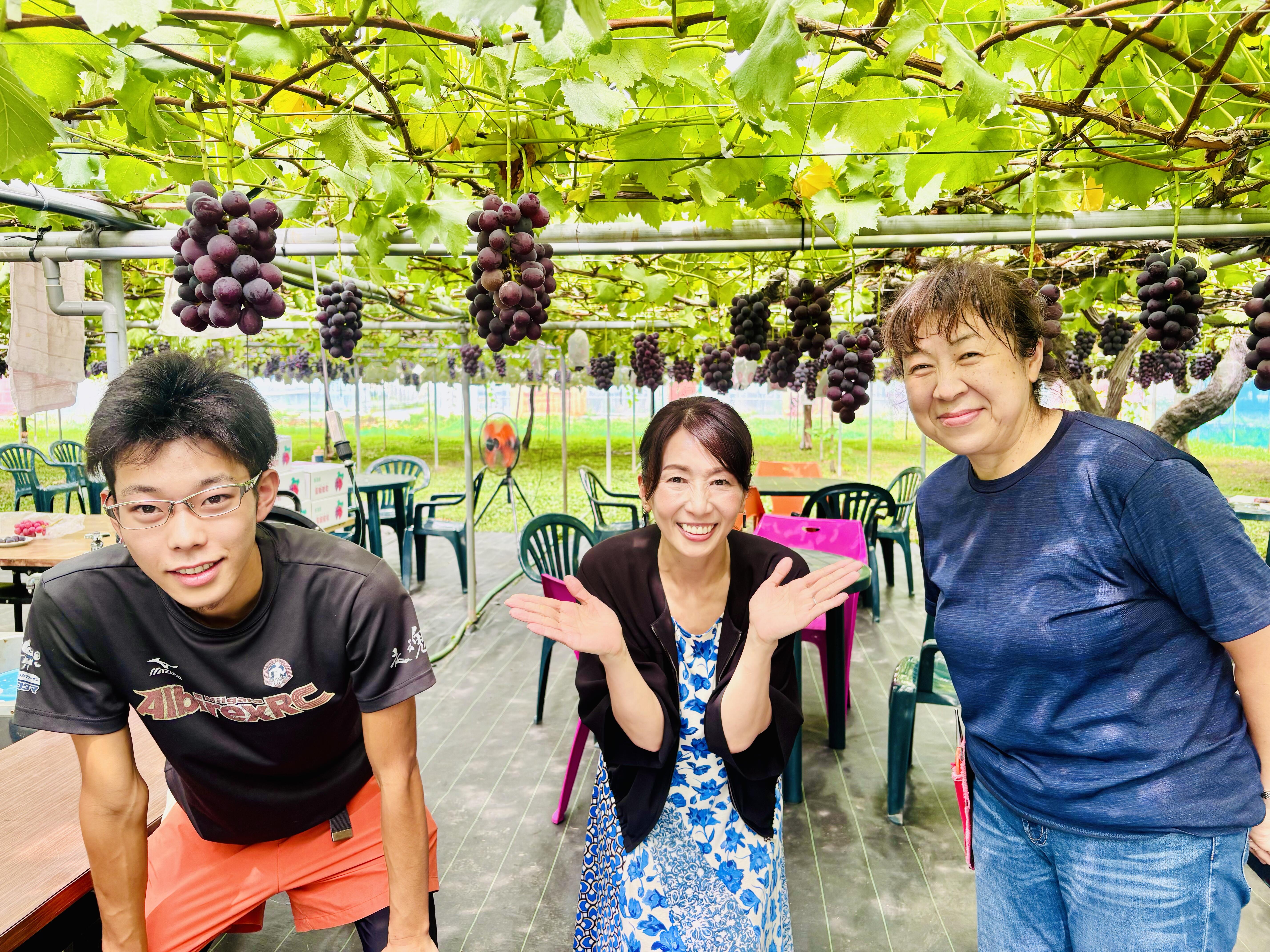 聖籠町ぶどう園　誠樹園　