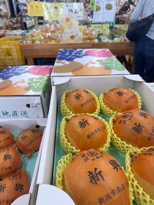 ２０２５キラキラマーケット_2713 (7).jpg