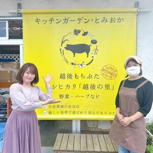 ２０２５キッチンガーデンとみおか_25911 (13).JPG