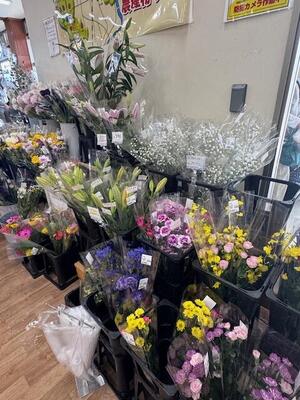 ２０２５キラキラマーケット_2713 (8).jpg