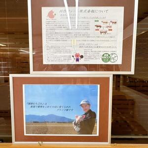 ２０２５キッチンガーデンとみおか_25911 (10).JPG