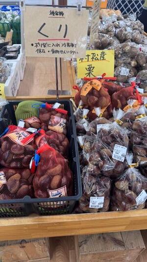 ２０２５キラキラマーケット_2713 (3).jpg